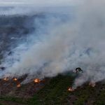 kebakaran hutan, karhutla, kebakaran hutan kalimantan dan Sulawesi