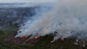 kebakaran hutan, karhutla, kebakaran hutan kalimantan dan Sulawesi