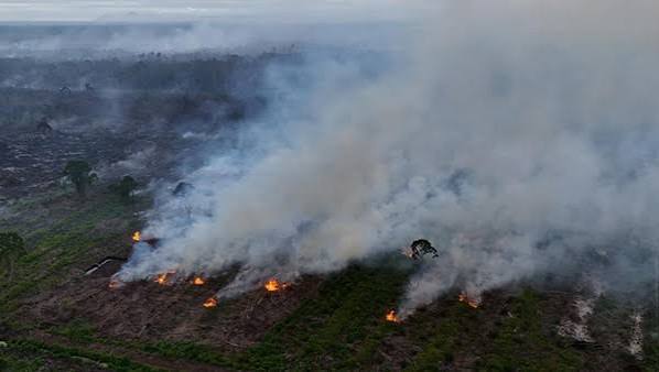 kebakaran hutan, karhutla, kebakaran hutan kalimantan dan Sulawesi